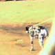 Thumbnail of dog on leash